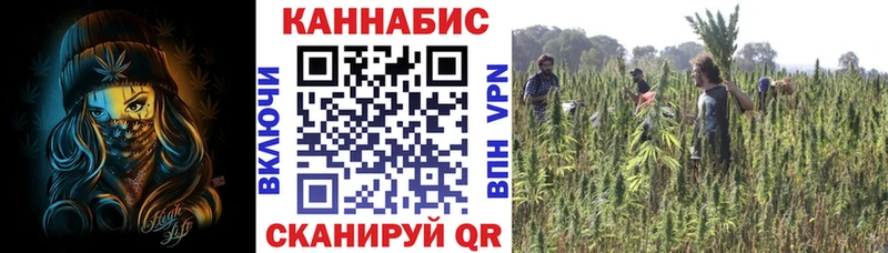 Бошки Шишки конопля  площадка как зайти  hydra рабочий сайт  Новоульяновск  наркота 